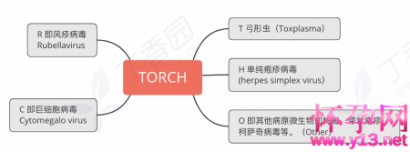 妊娠期 TORCH 筛查要点