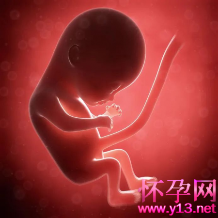想要生出健康宝宝，一定要做好孕前检测！